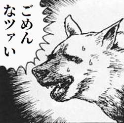 53213 B