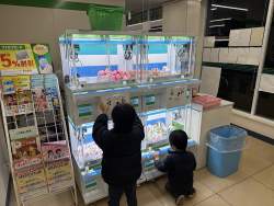 446696 B