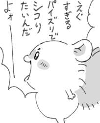 38096 B