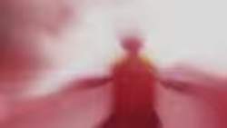2036306 B