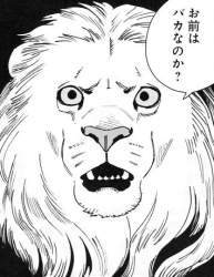 74597 B