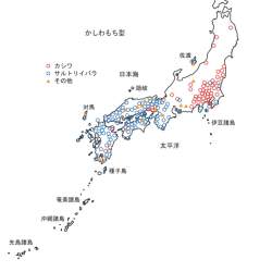 67883 B