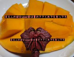 1043408 B