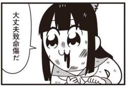 24066 B