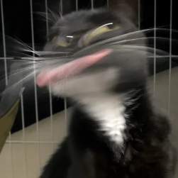 12202 B