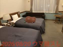 238261 B