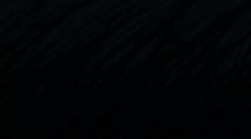 8113284 B