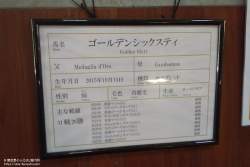 438825 B