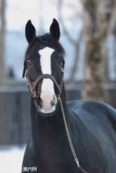 19821 B