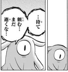 50978 B