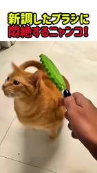 1735683 B