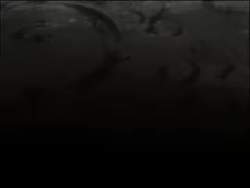 2029138 B