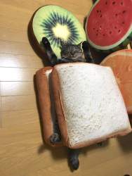 70721 B