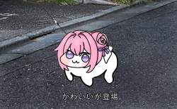 243892 B