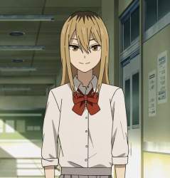 44733 B
