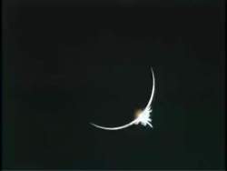 4916419 B