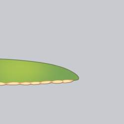 50279 B