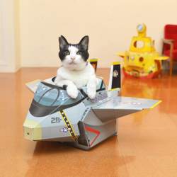 46345 B