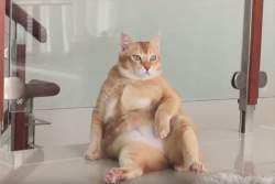 36343 B