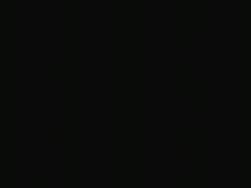 2117095 B