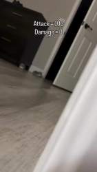 1236258 B