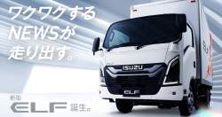 85731 B