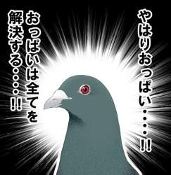 66872 B