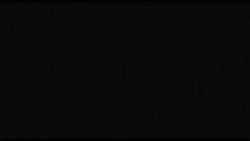 7954807 B