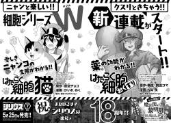 1151534 B