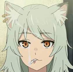22962 B