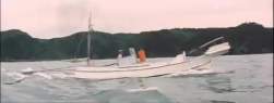 2018262 B