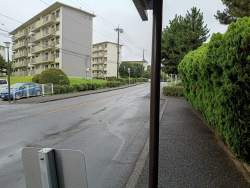 5592377 B