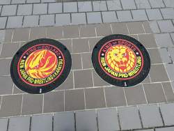 3485675 B