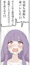 528339 B