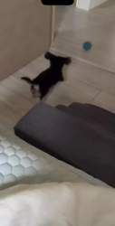 1298247 B