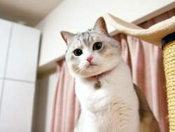 55566 B