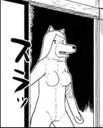 22542 B