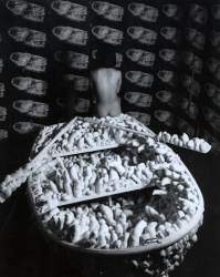 224796 B