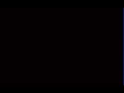5044558 B