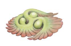 52238 B