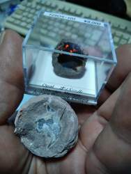 1485537 B