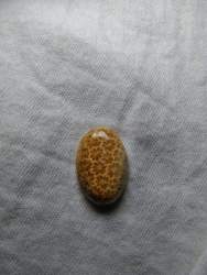 572284 B