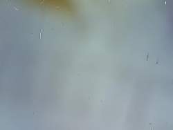 8173727 B