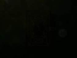 8151203 B