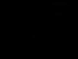 3000429 B