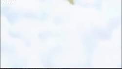 7258716 B