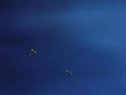 3051466 B