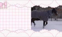 2084307 B