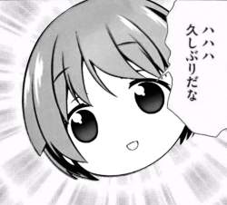 43218 B