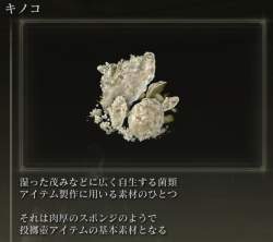 75349 B